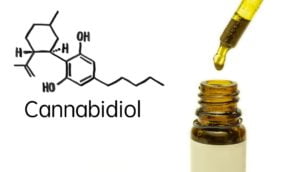 cbd for weight loss